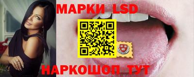 apvp Можга