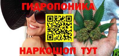 PSILOCYBIN Нарткала