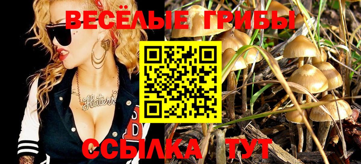Галлюциногенные грибы GOLDEN TEACHER Таганрог