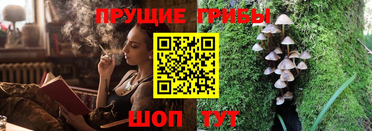 цены   Вход с VPN  Таганрог  Псилоцибиновые грибы мицелий  Галлюциногенные грибы MAGIC MUSHROOMS 